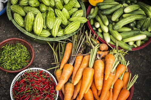 Organic farming workshop