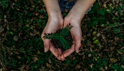 Green earth initiative